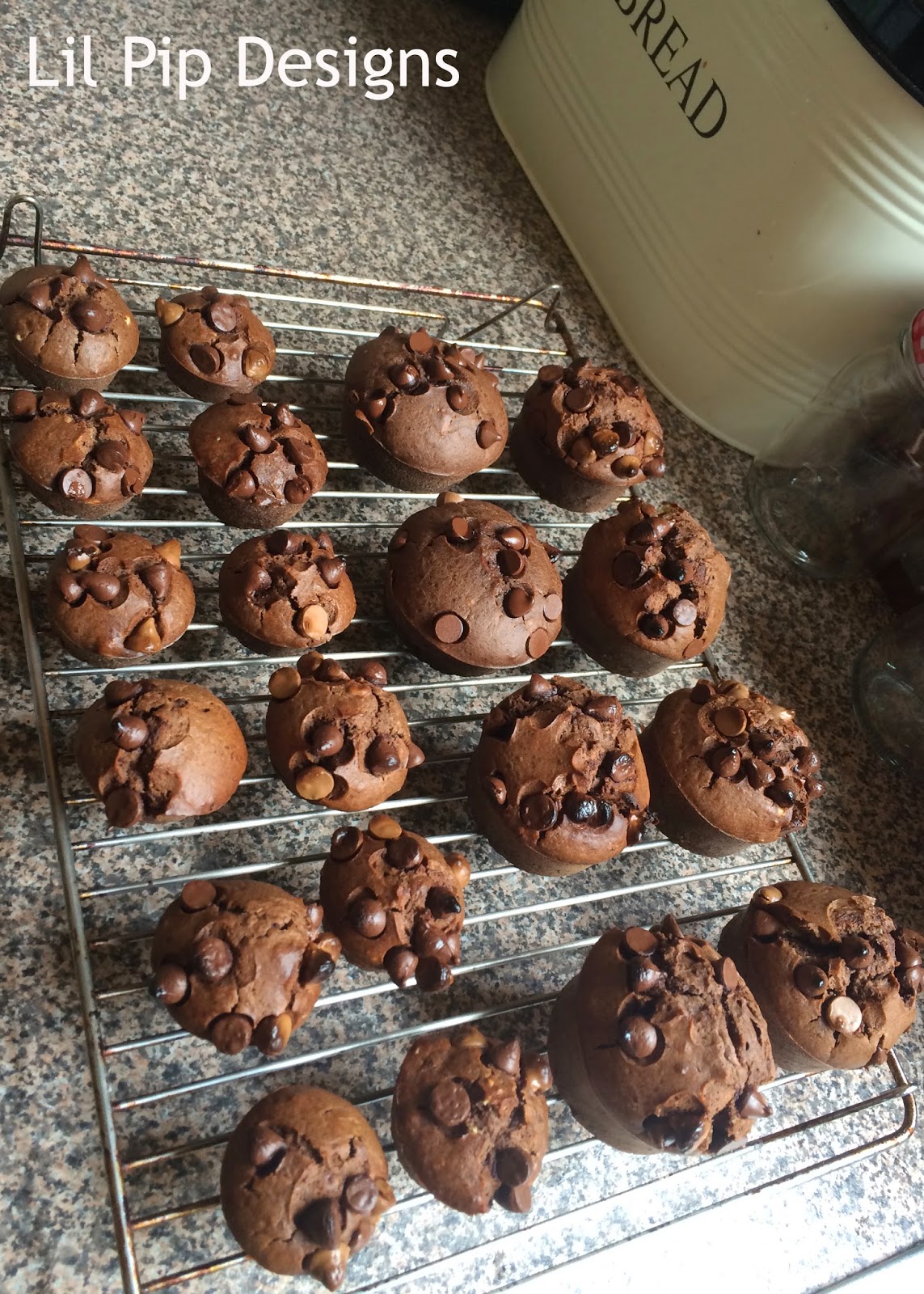 Chocolate and Zucchini Muffins