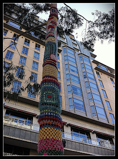 Yarn Bombed Tree 7