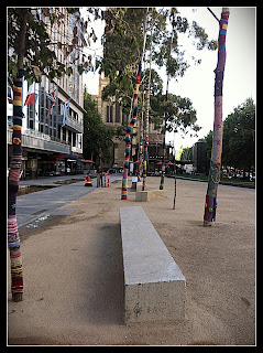 Yarn Bombed Tree 2