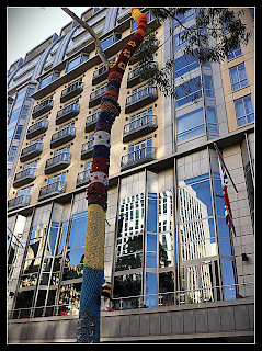 Yarn Bombed Tree 1